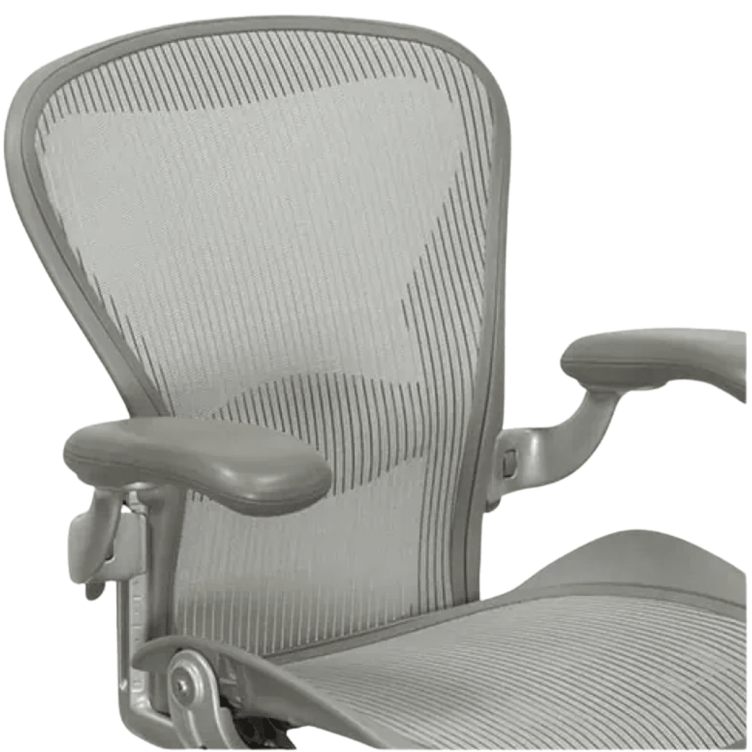 Herman Miller Aeron Office Chair Fully Adjustable (SIlver /Titanium Frame) - Size C - Best Deal Office, TV, & Apple StoreLas_Vegas